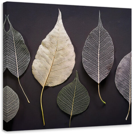 Tableau déco Minimalisme Feuilles Plantes Glamour 30x30