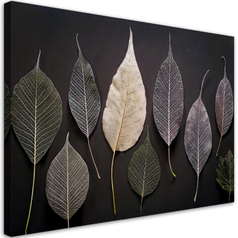 Tableau déco Minimalisme Feuilles Plantes Glamour 60x40