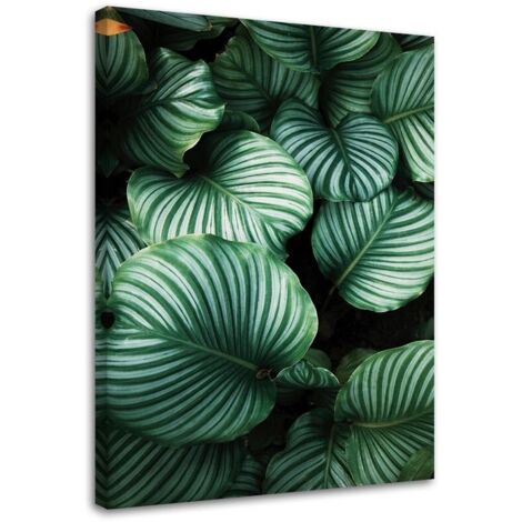 Tableau déco Monstera Feuilles Tropicales 40x60