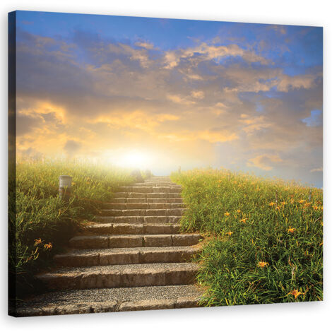 Tableau déco Paysage Prairie Fleurs 30x30