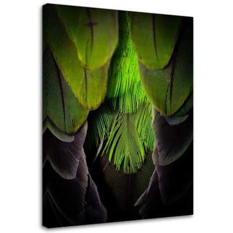 Tableau déco Plume Oiseau Nature Vert 40x60