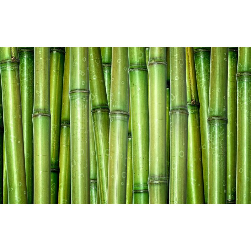 Hxadeco - Tableau deco tige de bambous - 80x50 cm