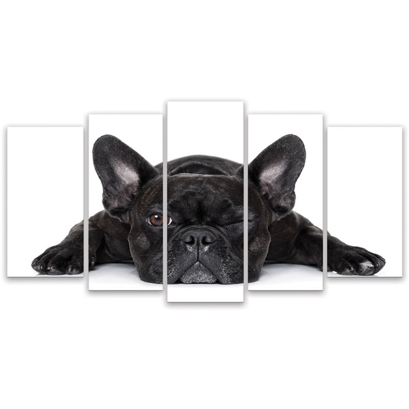 Hxadeco - Tableau decoratif bouledogue francais clin d œil , 150x80cm