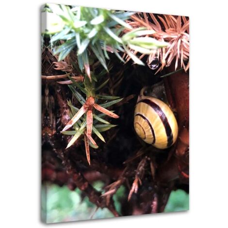 Tableau décoratif Escargot feuille nature 40x60