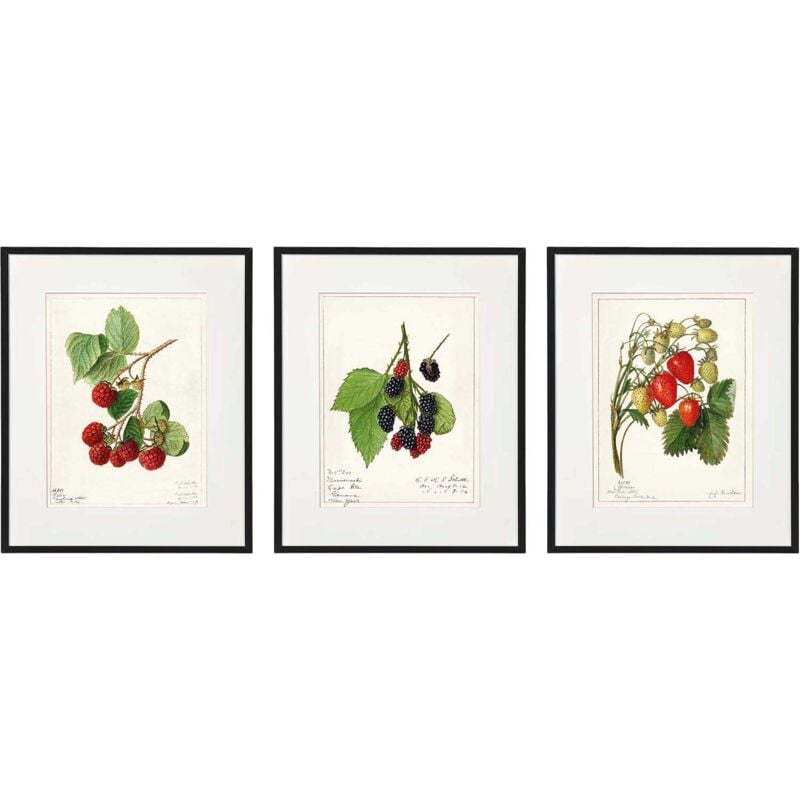 Tableau décoratif Fruits 20 x 25 cm (Lot de 3)