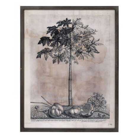 Tableau décoratif imprimé arbre 82x105 - Bois - Gris - Interior's