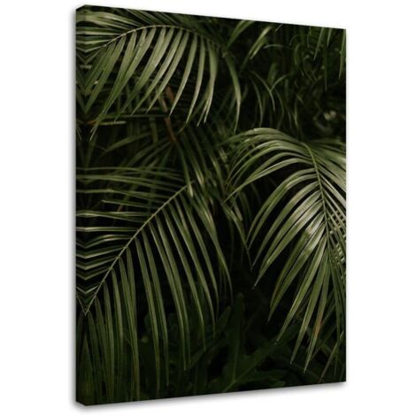 Tableau décoratif Monstera Feuilles de palmier Botanique 40x60