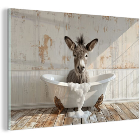 TABLEAU EN PLEXIGLAS Âne - Animaux - Baignoire - Mousse Décoration Murale 120x80