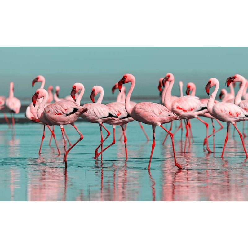 Hxadeco - Tableau Flamingo rose et bleu - 80x50cm - made in France