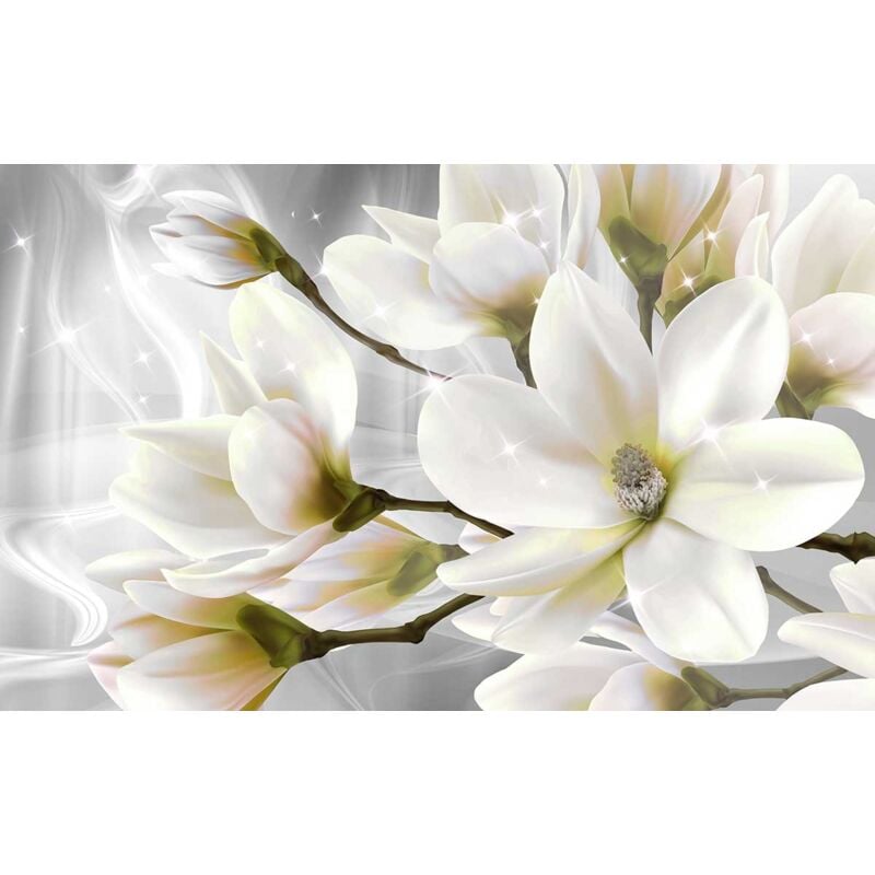 Hxadeco - Tableau fleurs blanches et scintillement - 80x50 cm