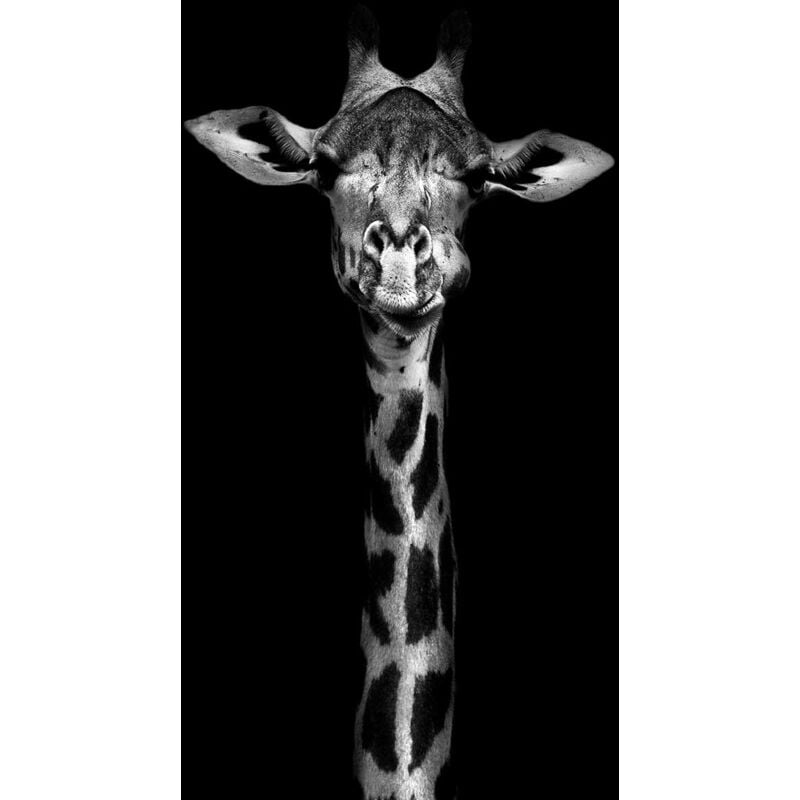 Hxadeco - Tableau Girafe en noir et blanc - 50x80cm - made in France