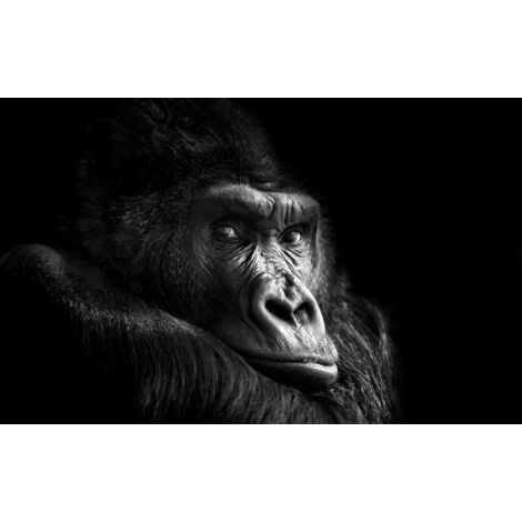 Tableau Gorille en noir et blanc - 80x50cm - made in France