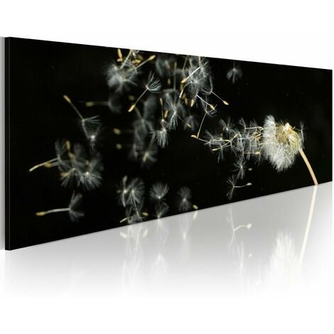 Tableau impermanence panoramique - 120 x 40 cm - Noir, Blanc