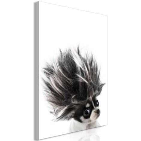 Tableau Imprimé "Chihuahua" 60 x 90 cm