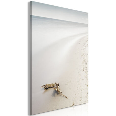 Tableau Imprimé "Coast" 60 x 90 cm