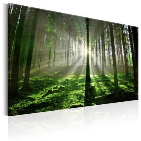 Tableau Imprimé "Emerald Forest II" 60 x 90 cm