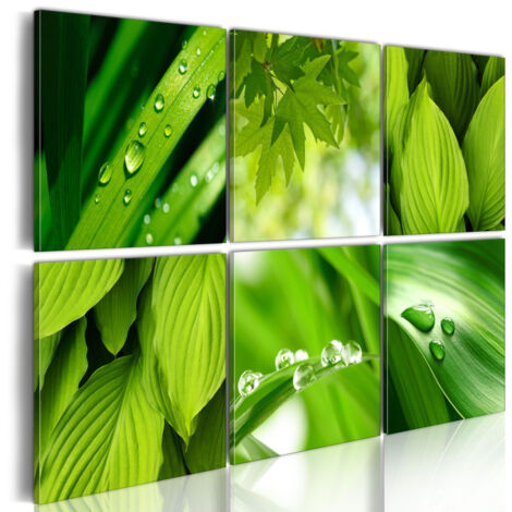 Tableau Imprimé "Feuilles Vertes Fraîches" 40 x 60 cm