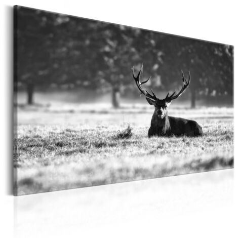 Tableau Imprimé "Lying Deer" 60 x 90 cm