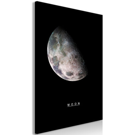 Tableau Imprimé "Moon" 60 x 90 cm