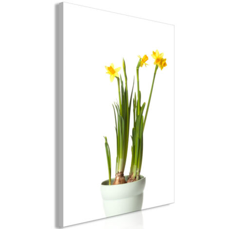Tableau Imprimé "Narcissus" 60 x 90 cm