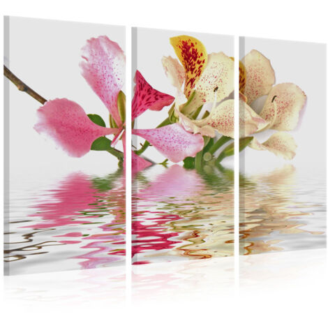 Tableau Imprimé "Orchid with Colorful Spots" 40 x 60 cm