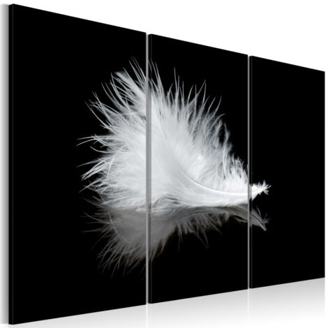 Tableau Imprimé "Petite Plume" 60 x 90 cm