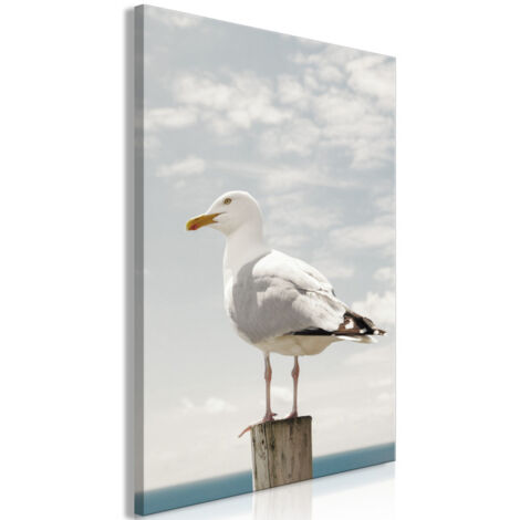 Tableau Imprimé "Seagull" 60 x 90 cm