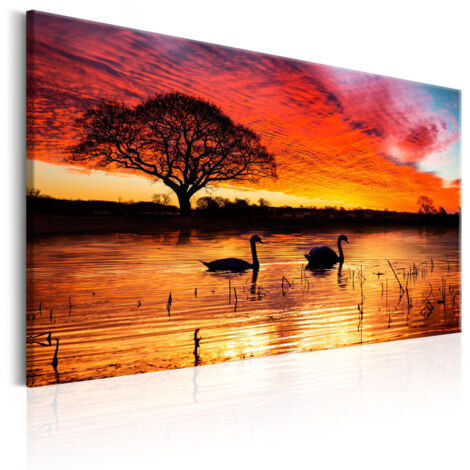 Tableau Imprimé "Swan Lake" 60 x 90 cm