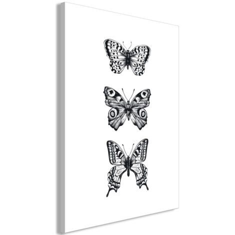 Tableau Imprimé "Three Butterflies" 60 x 90 cm