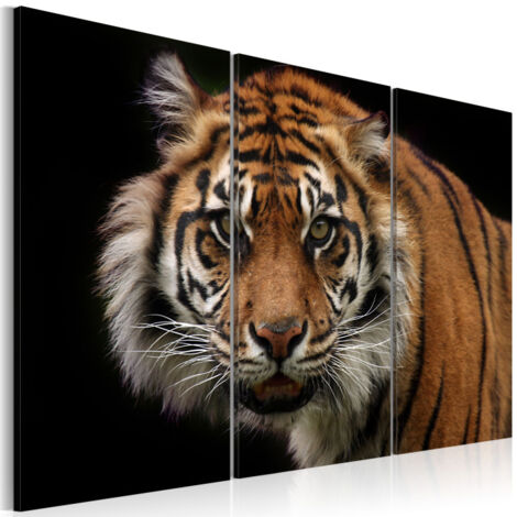 Tableau Imprimé "Tigre Prédateur" 60 x 90 cm