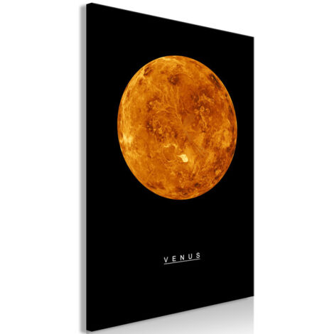 Tableau Imprimé "Venus" 60 x 90 cm