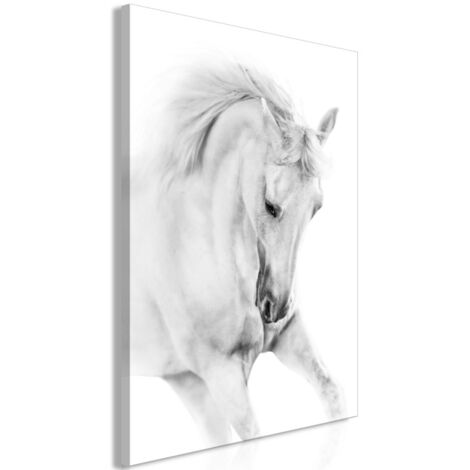 Tableau Imprimé "White Horse" 60 x 90 cm