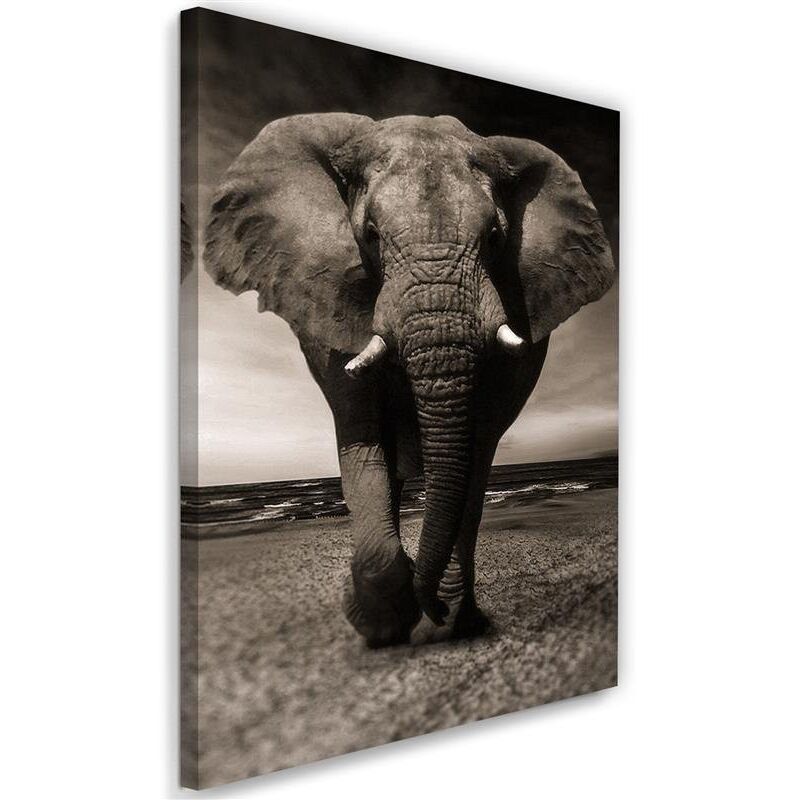 Tableau, éléphant xxl sur la savane - 80x120