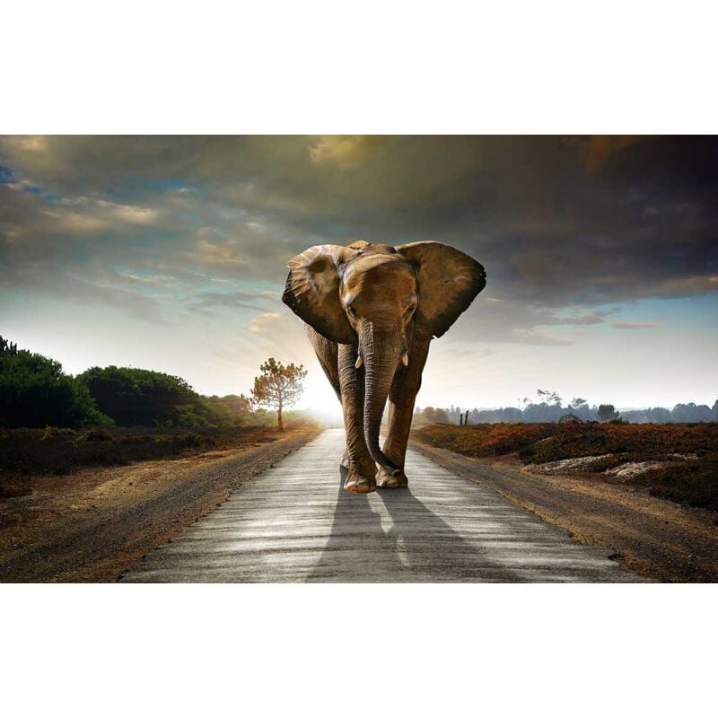 Hxadeco - Tableau moderne elephant on the road, 80x50cm