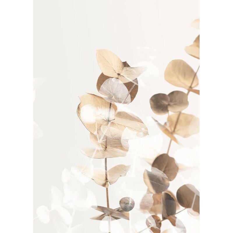 Ceanothe - Tableau sur toile charme clair 45x65 cm - Impression sur Toile Murale Décorative - Image imprimée en hd sur Toile - Toile sur Châssis en