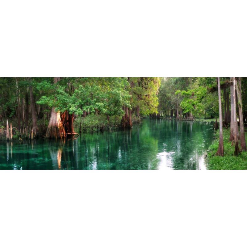 Tableau Nature sous l'eau - 80x30cm - made in France