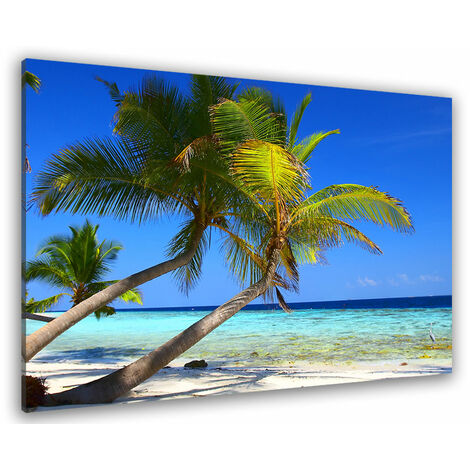 Tableau paysage cocotier paradise - 80x50 cm