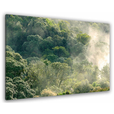 Tableau paysage forêt dans la lumière matinale - 80x50 cm
