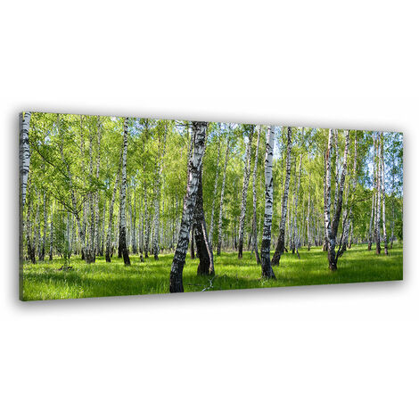 Tableau paysage forêt de bouleaux - 80x30 cm
