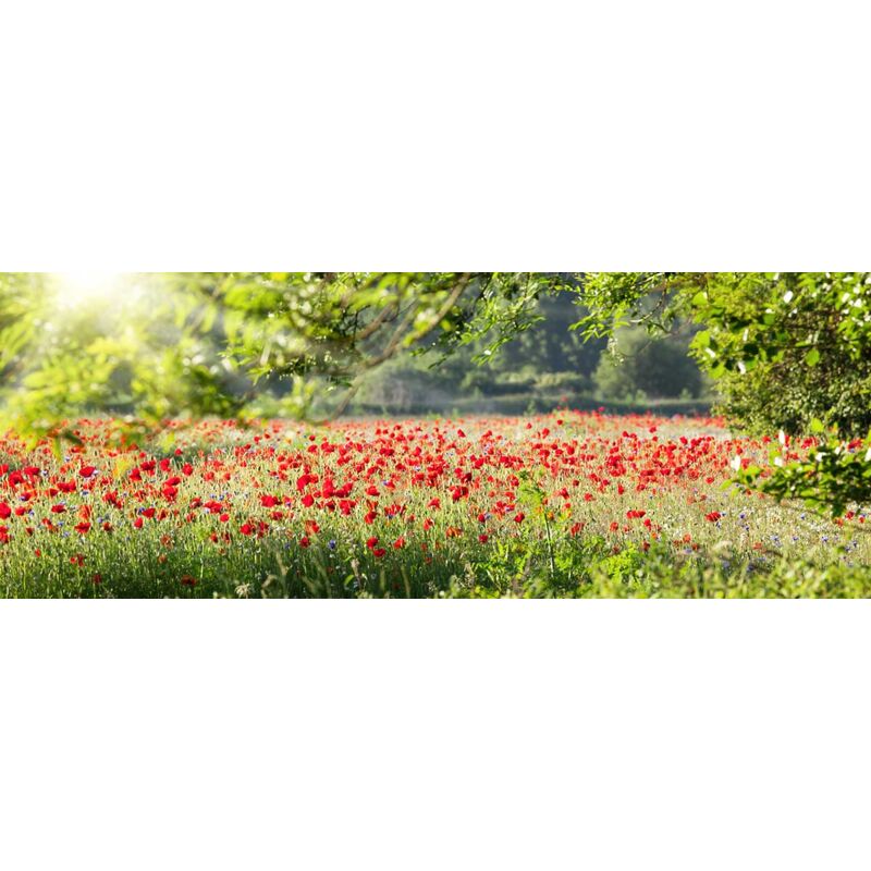 Hxadeco - Tableau paysage la belle prairie, 80x30cm