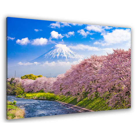Tableau paysage mont fuji et cerisiers en fleurs - 80x50 cm