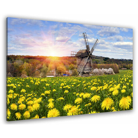 Tableau paysage moulin à vent ukraine - 80x50 cm