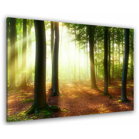 Tableau paysage raie de lumière en forêt - 80x50 cm
