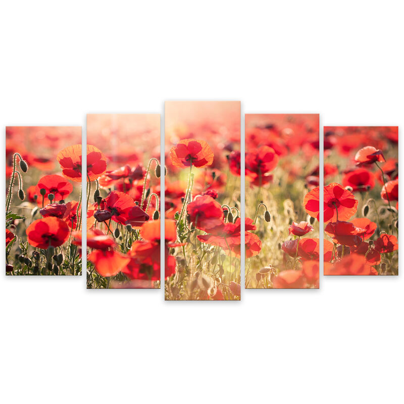 Hxadeco - Tableau photo deco sur toile imprimée coquelicots nouveaux, 150x80cm