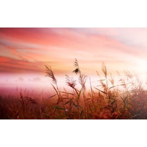 Tableau photo paysage champ de blé au coucher, 80x50cm