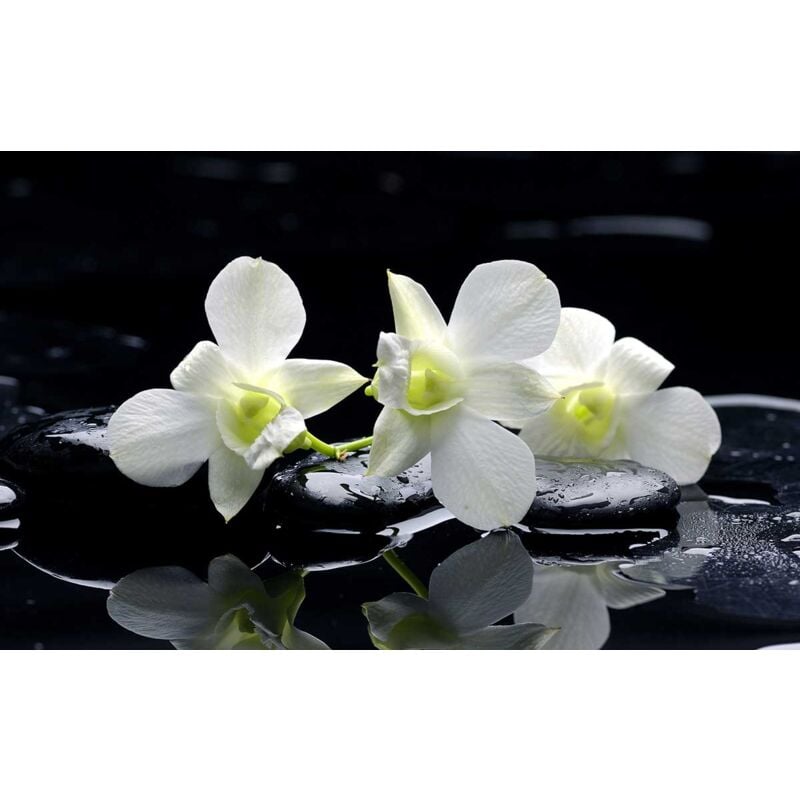 Hxadeco - Tableau photo zen orchidées et galets - 80x50 cm