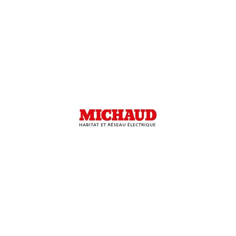 Michaud - Tableau plastique démontable 250 x500 mm R011