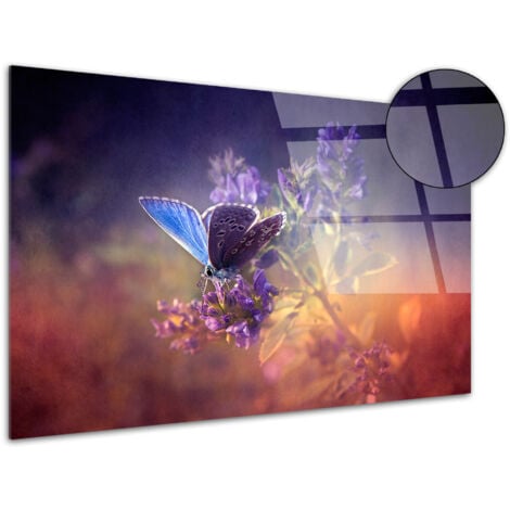 Tableau plexiglas décoratif Papillons colorés