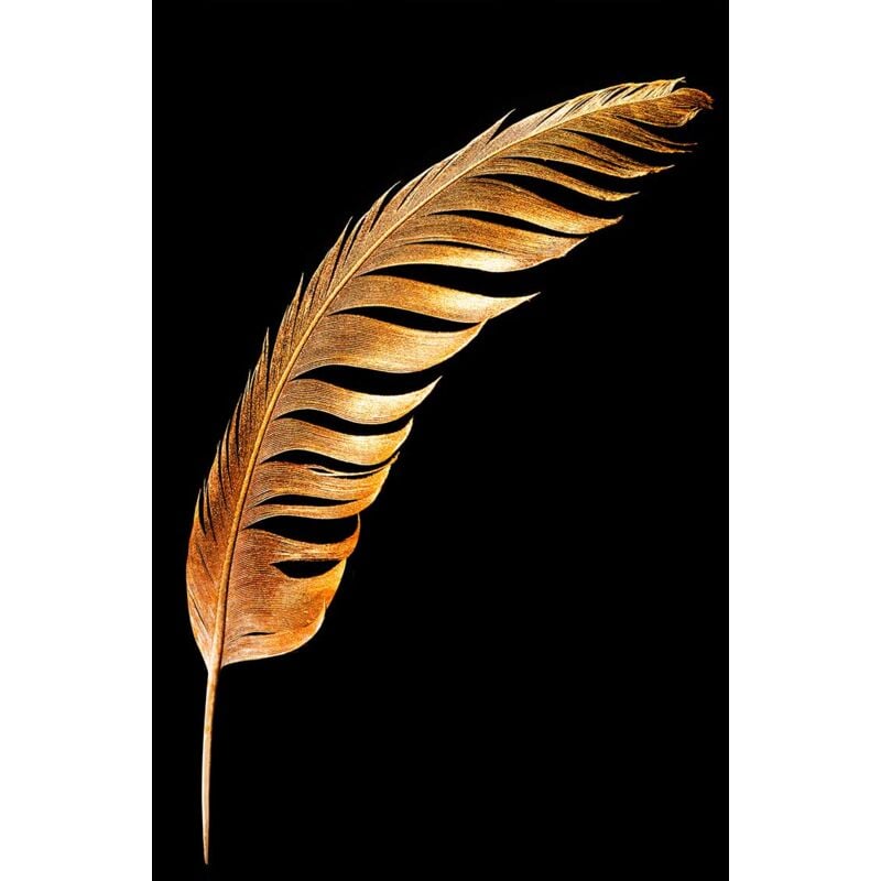 Tableau Plume dorée - 50x80cm - made in France