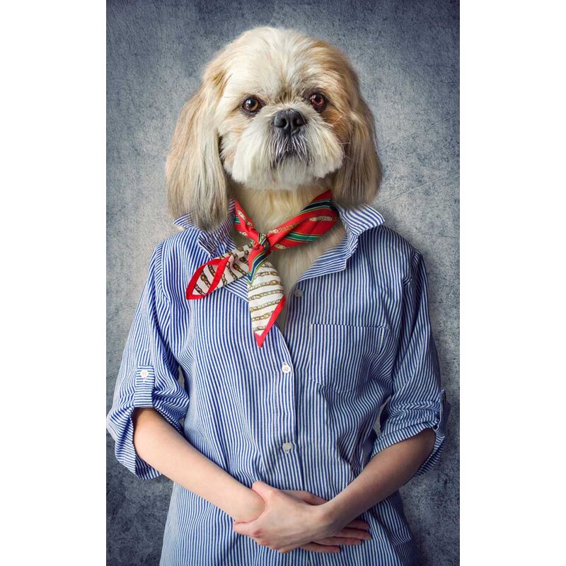 Tableau Portrait de chien habillé - 50x80cm - made in France